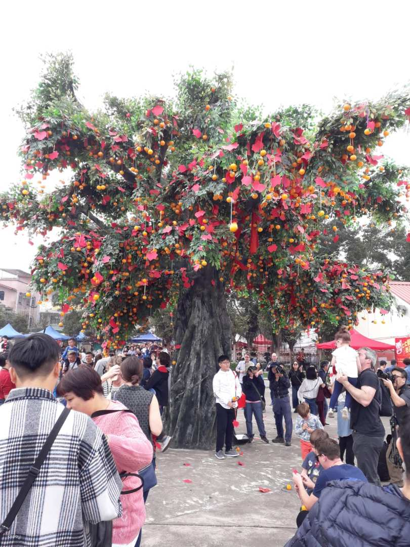 [Great Fortune in the Year of the Snake] Hong Kong Wishing Festival 2025 One-day Tour | Cherry Blossom Viewing at Tai Mo Shan | Ping Shan Heritage Trail | Traditional Poon Choi | Green Holidays - Photo 1 of 10
